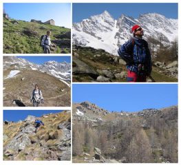 Il colle, il colle perduto..., il compagno di gite... ma non di merende.