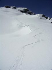 La traccia degli esperti