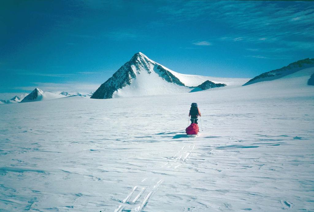 Il Lippert Peak dalla Horseshoe Valley