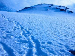 salendo i pendii terminali del versante Ovest del Clapier (22-5-2005)