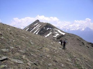 La Punta Chaligne dal Passo Tardiva