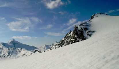 levanna clavarino carro