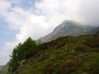 Da qui si intravede la cresta e la cima