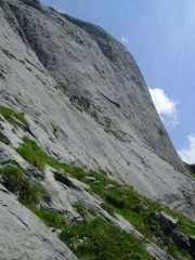 cordata in parete