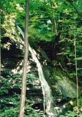 Cascatella agli Orridi di Uriezzo