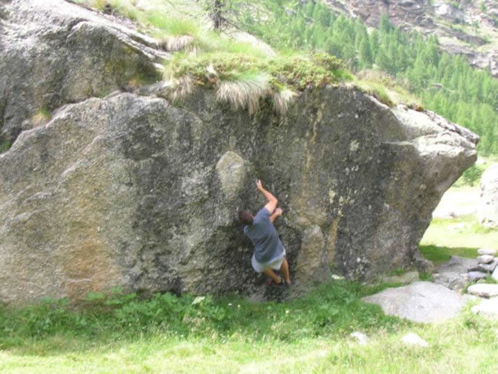 Spiderobby su una bella lama