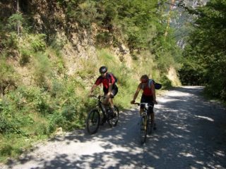 attenti a quei due che mi lasciano indietro(bosco vallee de cairos)