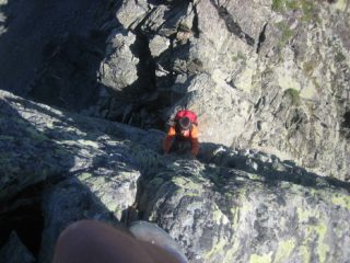 gabri su un bel muretto.