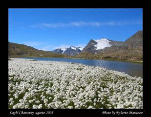 la basei si specchia in un laghetto