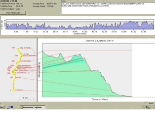 GRAFICO DEL GPS INTEGRATO