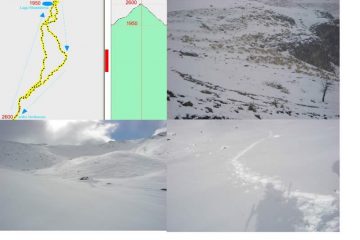 GRAFICO GPS--PECORE INFREDDOLITE--SGUARDO IN SU'--SGUARDO IN GIU'