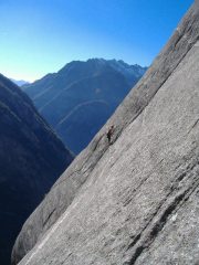 tipiche placche melliche...