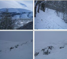 In alto:panorama del Rotella e sentiero nel bosco;In basso il distacco