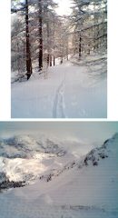 Nel bosco (tutto da battere..) e vista sul lato italiano dal Colletto Verde