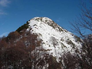 La vetta del M.te Torriggia