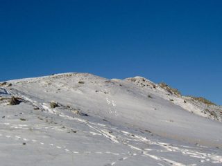 La croce di vetta dal colletto