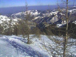 la parte alta del bosco