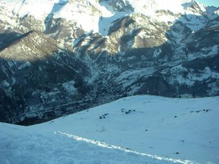 Limone dalla cima