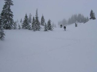 Nella parte alta del percorso tra gli ultimi radi giovani abeti