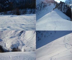 IN BASSO--IL COLLE COL DENTE--AL DI LA' STRADA PER LAGO BRIGN--ZERO TRACCE DI BIPEDI