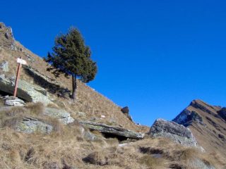 L'Uja dall'incrocio dei sentieri