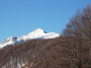La Piota vista dal tratto boscoso