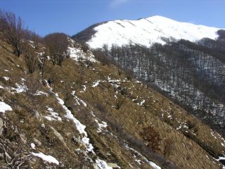 qualche tratto senza neve lungo la dorsale (5-2-2006)