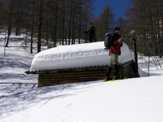 passando nei pressi della Baita dei cacciatori nel Bosco delle Navette (12-3-2006)
