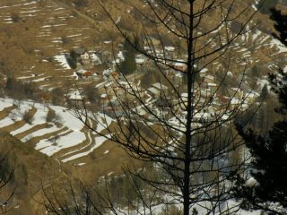 una visuale su Upega dal Bosco delle Navette (12-3-2006)