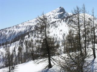 il bosco si dirada e spunta la Cima Missun (12-3-2006)