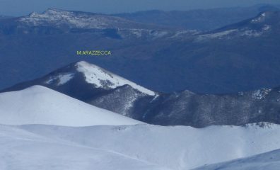 M.Arazzecca