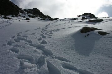 ultimo tratto del ripido pendio che porta al nevaio del Matto (24-4-2006)