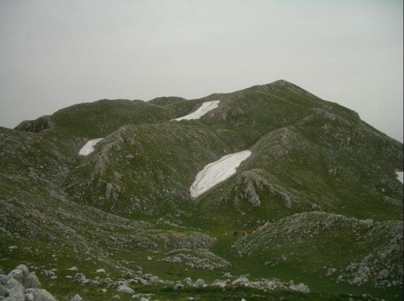 La Gallinola