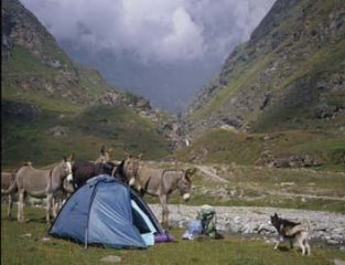 foto del campo a Malciaussia
