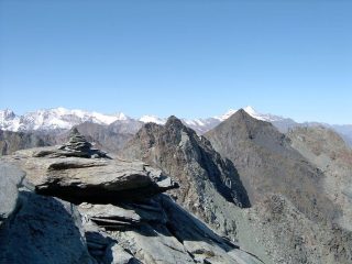 La testa dell'Arietta