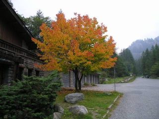 autunno a campiglia