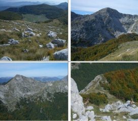 1)Lago Vivo 2)Petroso 3)Capraro 4)Camosci
