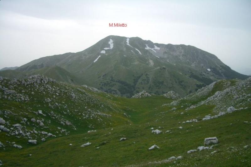 M.Miletto (visto dalla Gallinola)