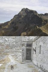 1 Gelas 2 Ermellino e Stambecchi che escono dalle finestre alla casermetta