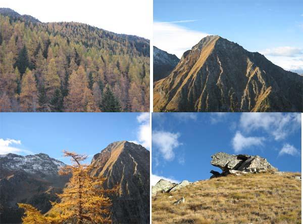Cima piure in primo piano, autunno nei boschi di Mascognaz