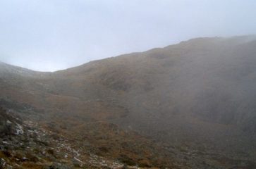 La nebbia stà arrivando...