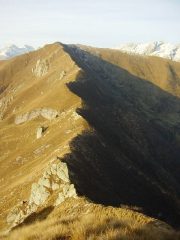 cima loit dall'uia d'ingria