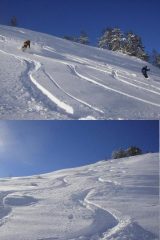le foto parlano da sole!
