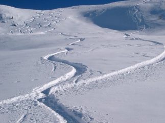 Non c'è tre senza...quattro...dovevo aggiungere una firma a quelle di ieri