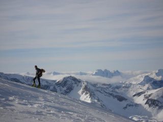 Ale sul pendio sommitale