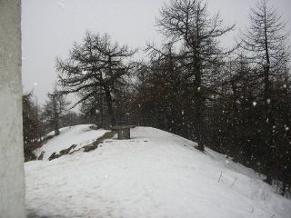 in cima sotto la neve