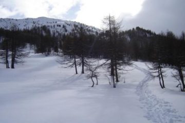 verso la punta
