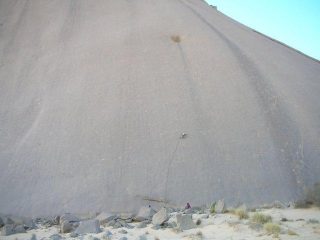 sull'elephant