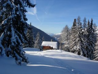 Fasi della salita nel bosco (fiabesco) sopra Ulrichen