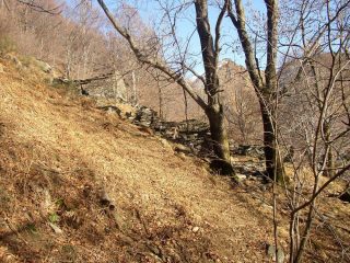 Ruderi presso Corte del Bosco